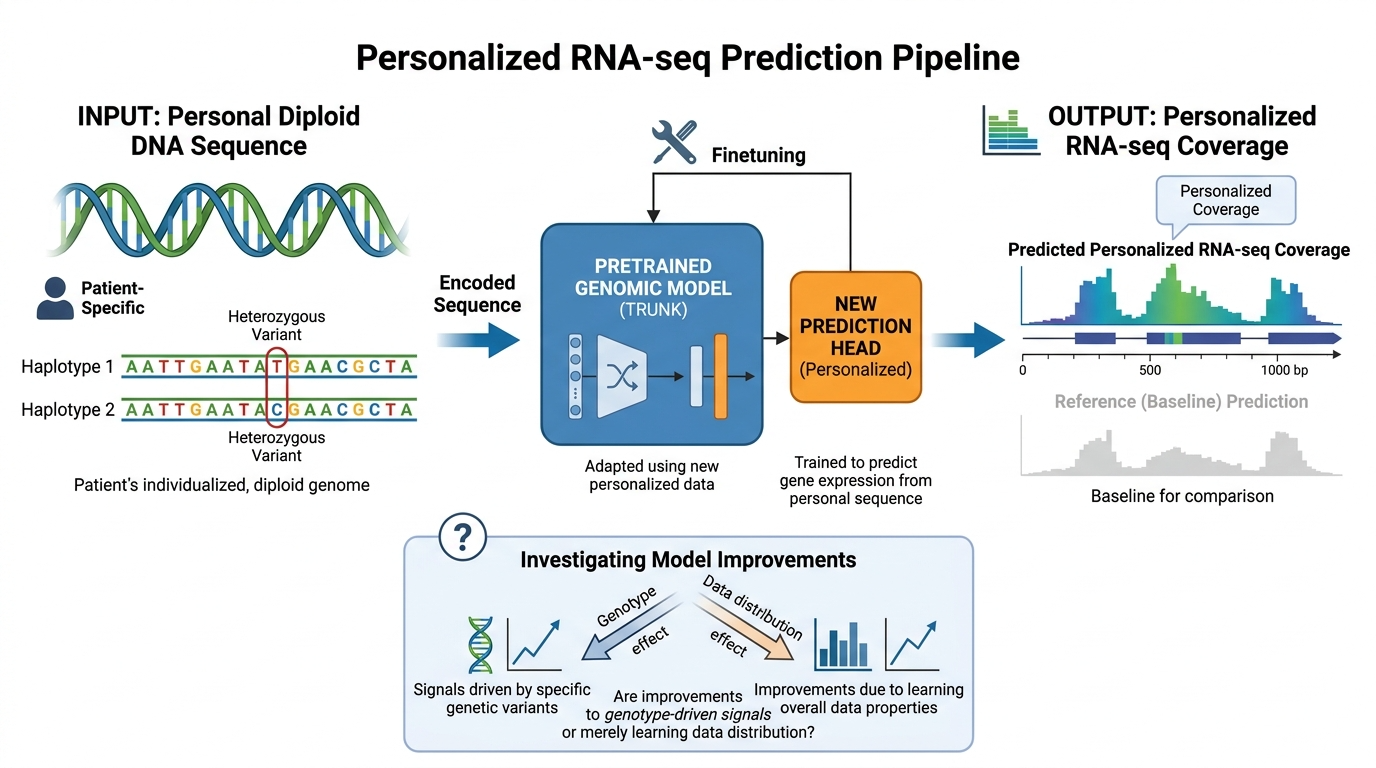 Personalized gene expression